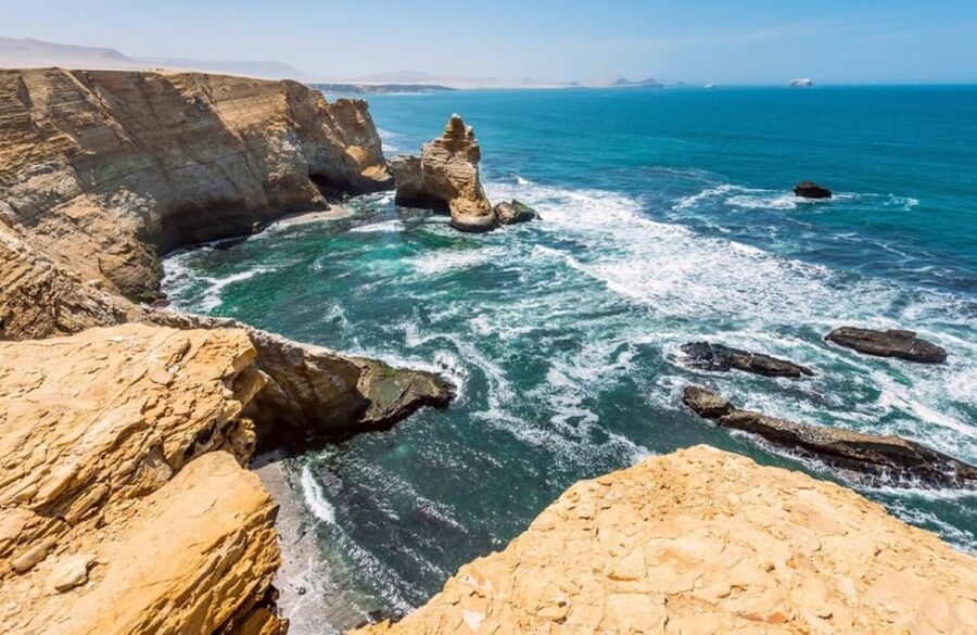 From Lima:Paracas Ballestas Islands and Ica Oasis 1 day Tour - Wine region and pisco tasting: what is included and what to watch for