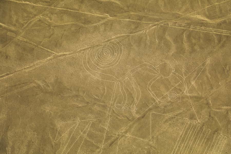 From Nazca: 35-Minute Flight Over Nazca Lines - A 35-minute flight that’s built for seeing the lines