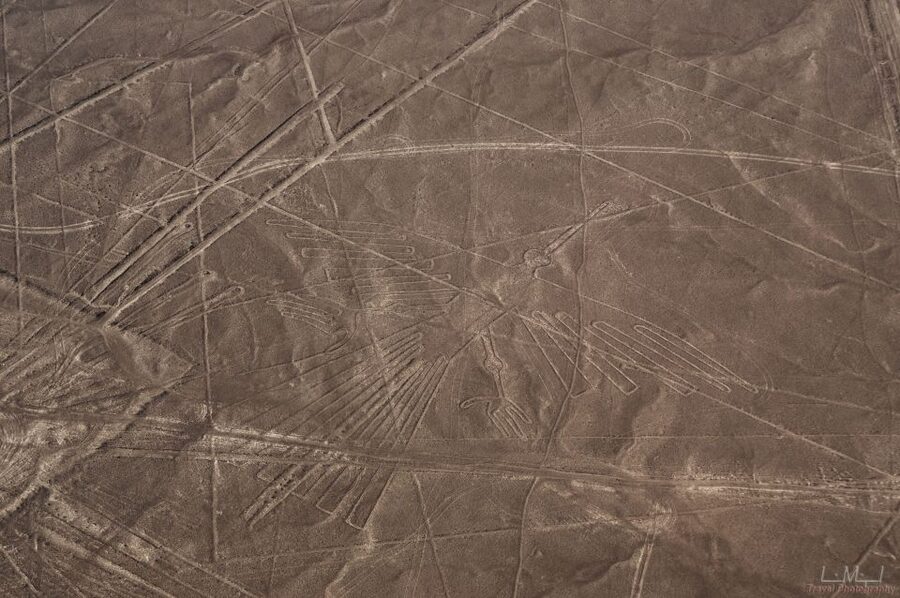 From Nazca: 35-Minute Flight Over Nazca Lines - What the crew actually does in the air