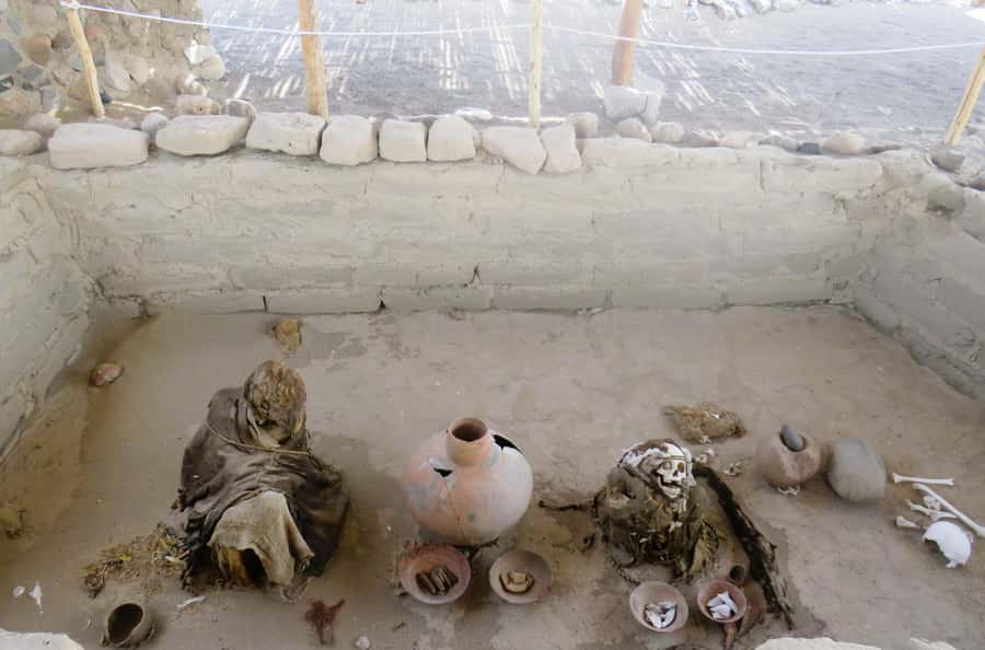 From Nazca: Chauchilla Cemetery Tour and Artisans Workshop - What Your Guide Helps You Understand (Without Making It Overcomplicated)