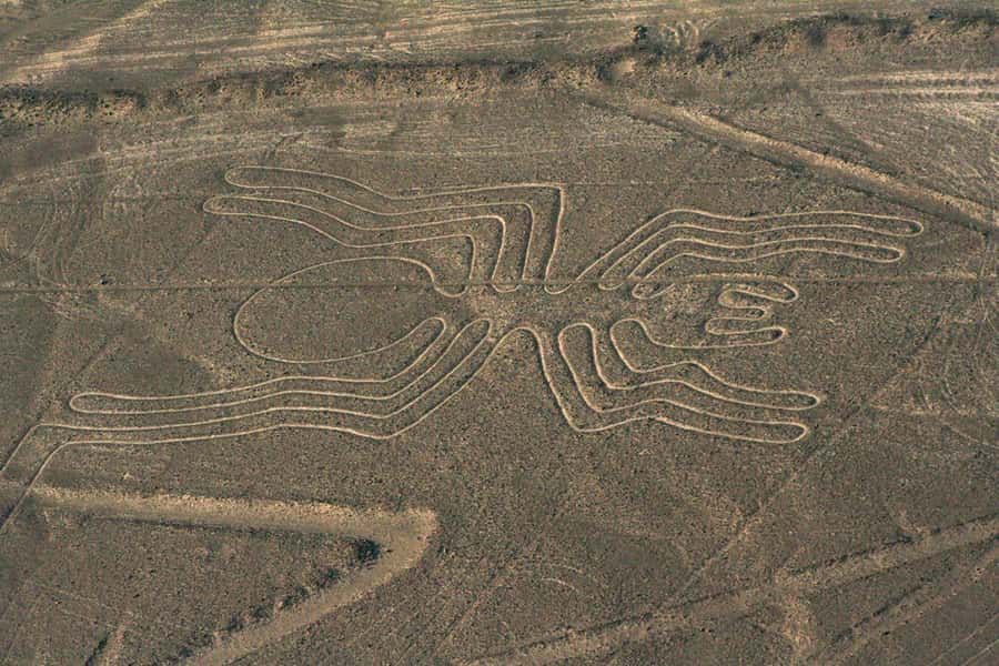 From Nazca: Flight in a light aircraft over the Nazca Lines - Nazca Lines, but from the Right Angle: What the Flight Really Gives You