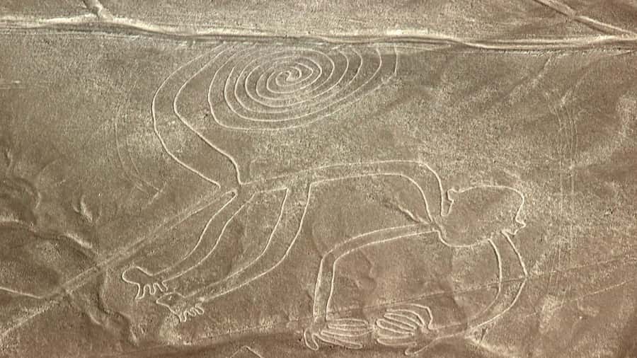 From Nazca: Flight in a light aircraft over the Nazca Lines - Cessna 207A Seating and the View: How to Get Better Photos