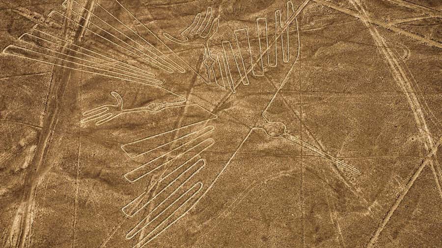 From Nazca: Flight in a light aircraft over the Nazca Lines - Price and Value: What You’re Really Paying For