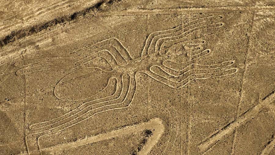 From Nazca: Small plane flight over the Nazca Lines - Key highlights worth getting excited about