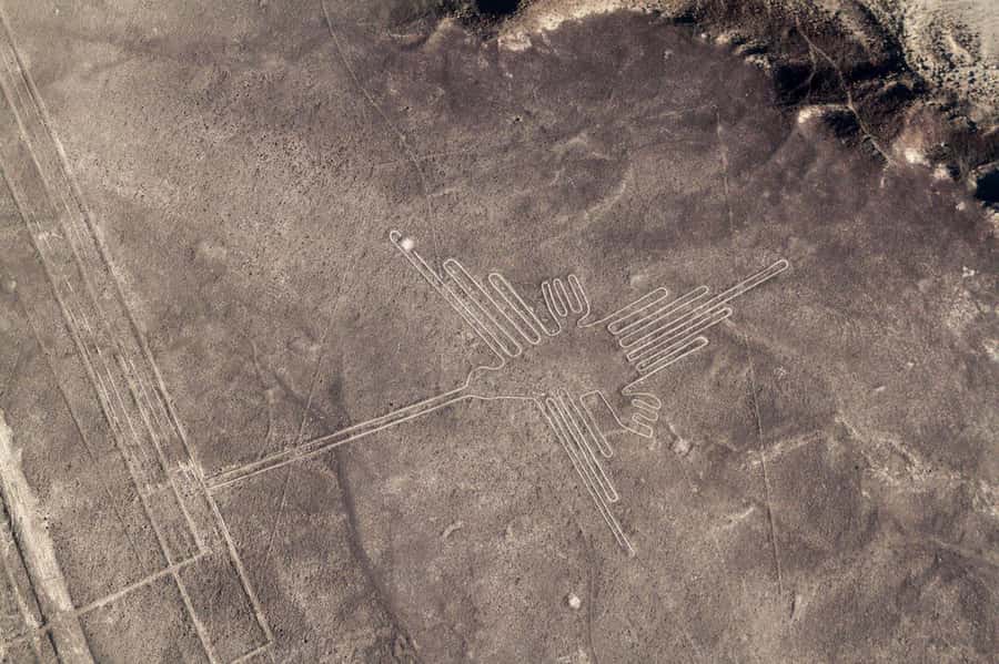 From Nazca: Small plane flight over the Nazca Lines - Nazca Lines from a small Cessna, not a slow-moving tour