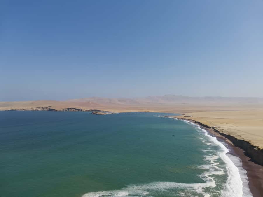 From Paracas: Ballestas Island Cruise & Paracas Reserve Tour - Who this tour fits best (and who might want a different plan)