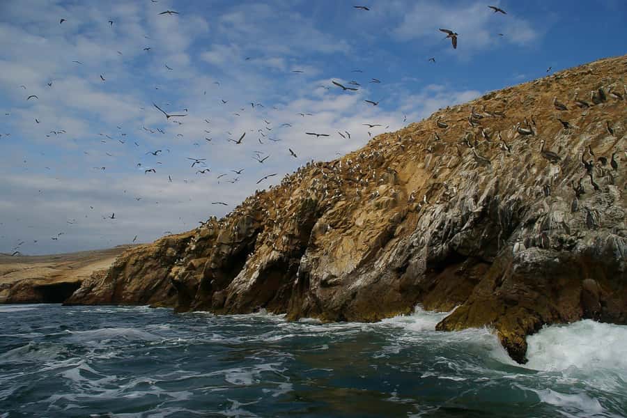 From Paracas: Ballestas Islands & Paracas National Reserve - From Paracas pickup to pier, how the day starts smoothly