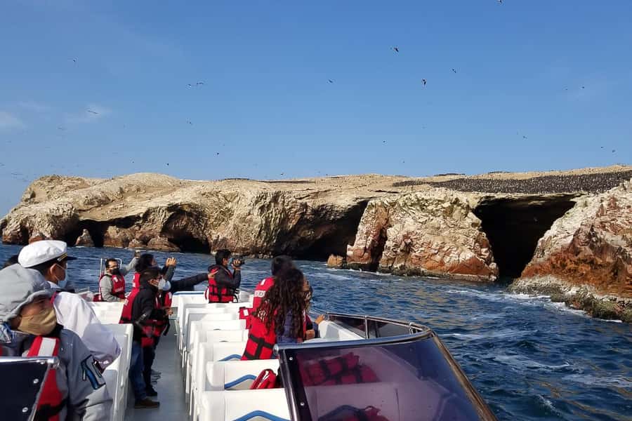 From Paracas: Ballestas Islands & Paracas National Reserve - Price and value: what $60 really covers