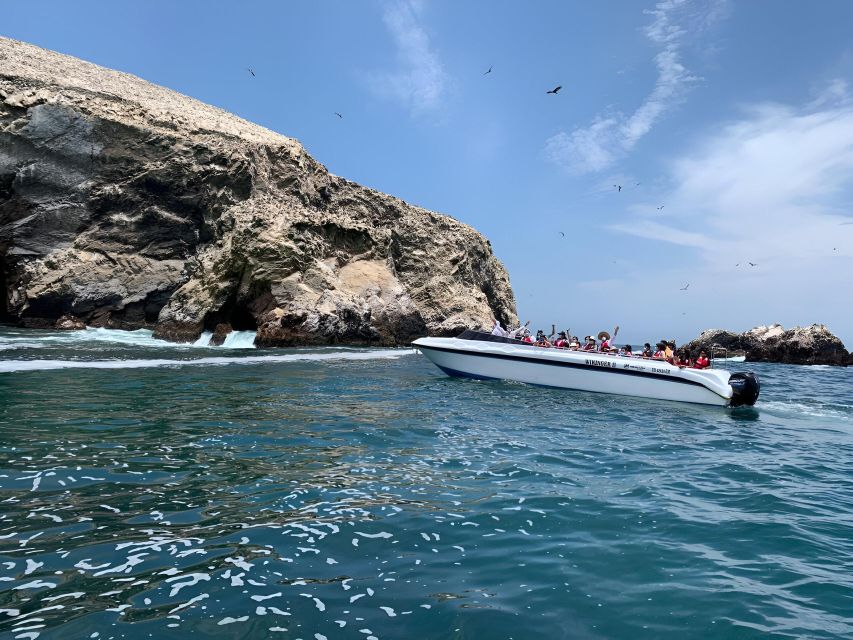 From Paracas: Ballestas Islands tour all Inclusive - Ballestas Islands for about 1 hour: penguins, sea lions, and birds