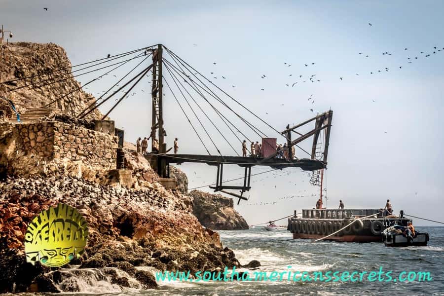From Paracas: Ballestas Islands tour all Inclusive - Getting from your hotel to Marina Turística, and how to nail the timing