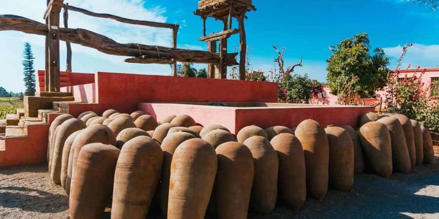 From Paracas | Excursion to Ica and Huacachina - Should You Book This Tour?