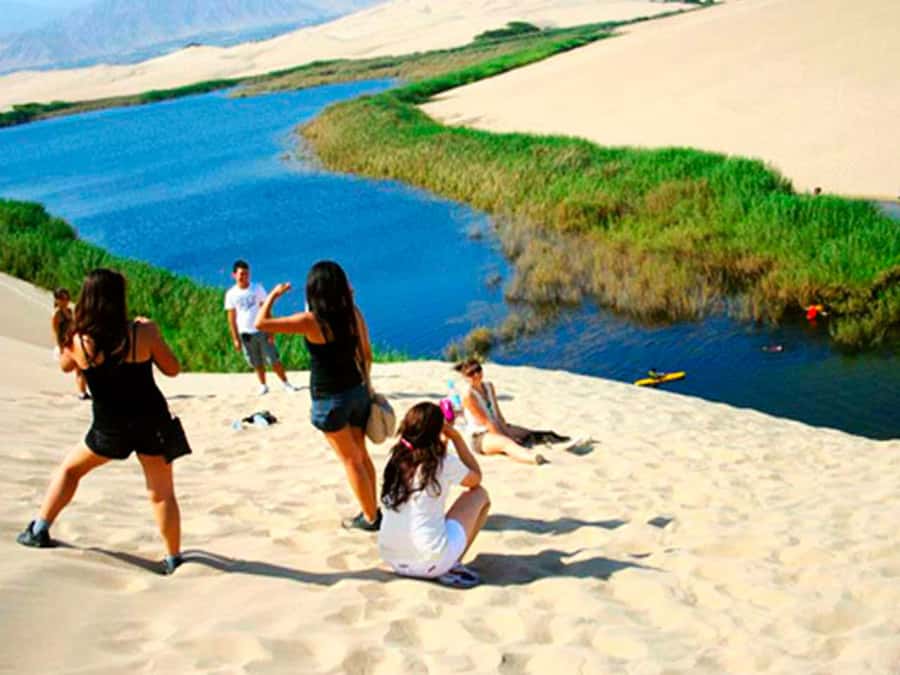 From Paracas: Mini Buggy Tour & Sandboarding at Oasis - Key things I’d plan around on this tour
