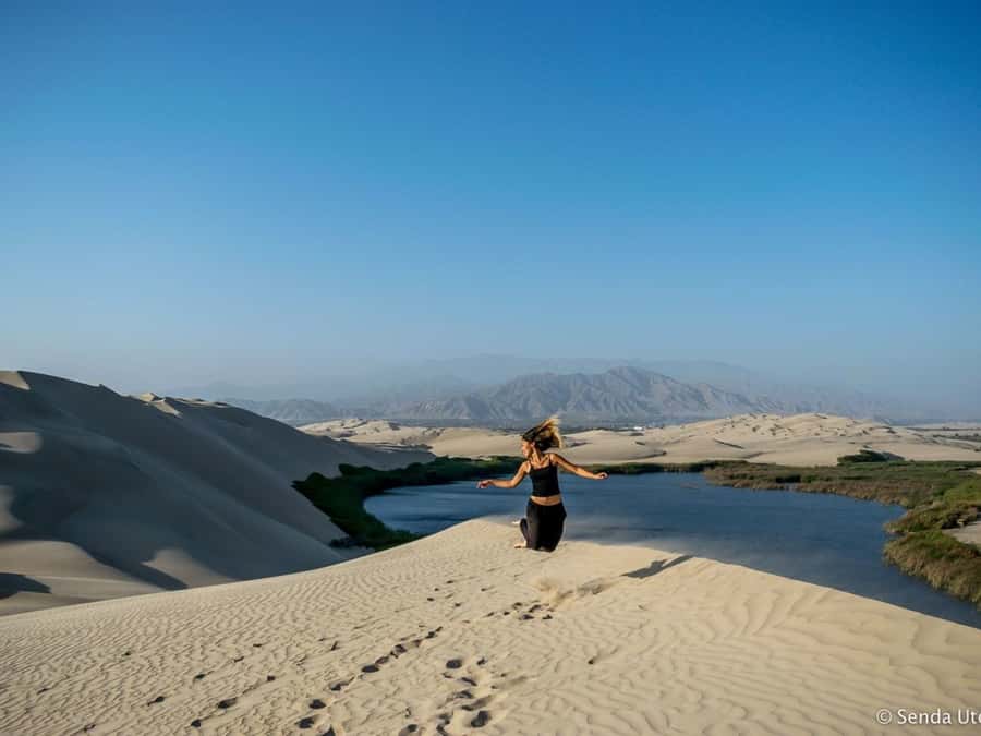 From Paracas: Mini Buggy Tour & Sandboarding at Oasis - Tips to make the desert day smoother