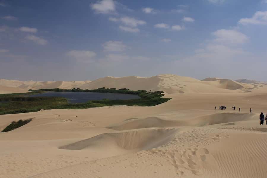 From Paracas: Mini Buggy Tour & Sandboarding at Oasis - Kayak, paddle board, or a slower walk: picking your vibe