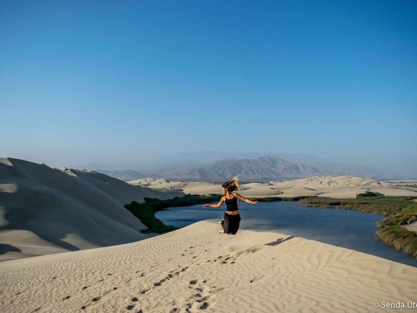 From Paracas: Mini Buggy Tour & Sandboarding at Oasis - What to bring, and what not to bring