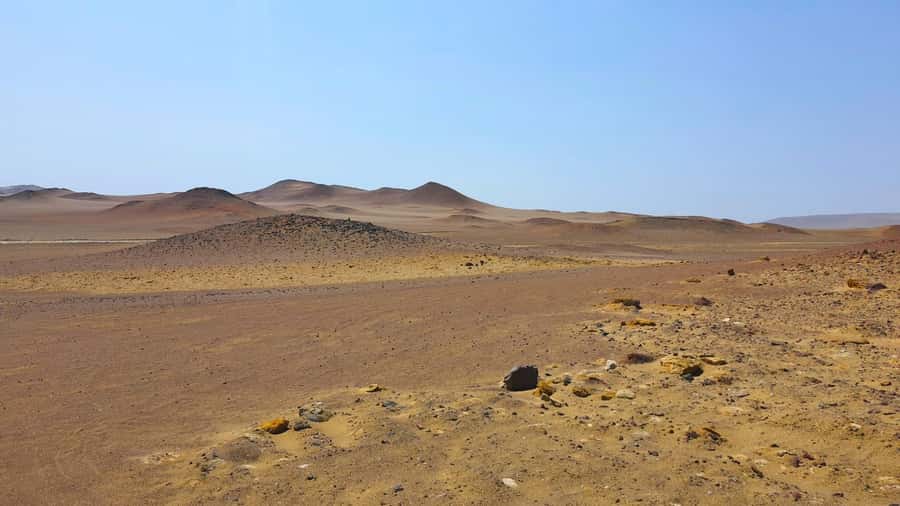 From Paracas: Paracas National Reserve Private Tour - Key highlights to know before you go