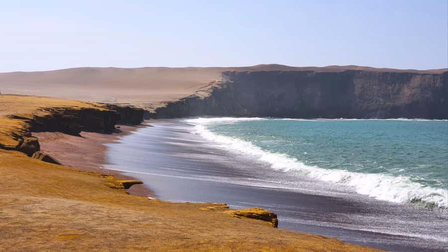 From Paracas: Paracas National Reserve Private Tour - Should you book the Paracas National Reserve Private Tour?