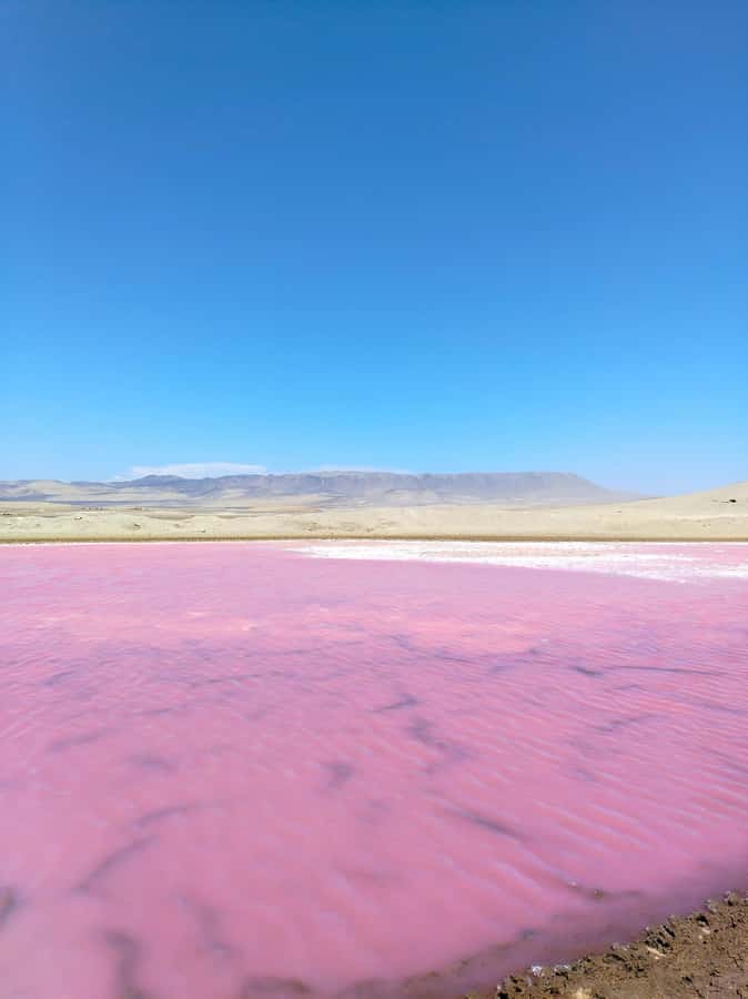 From Paracas: Paracas National Reserve Private Tour - Why Paracas National Reserve is so satisfying in 3 hours