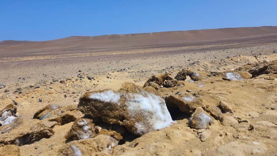 From Paracas: Paracas National Reserve Private Tour - Visitor center: the quick primer that makes everything click