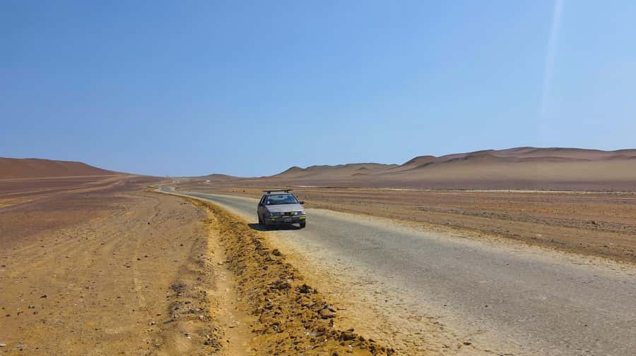 From Paracas: Paracas National Reserve Private Tour - Ballestas boat ride: sea lions and cliffside birdlife