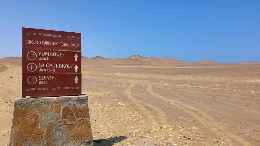 From Paracas: Paracas National Reserve Private Tour - What to bring, who it fits, and who should skip it