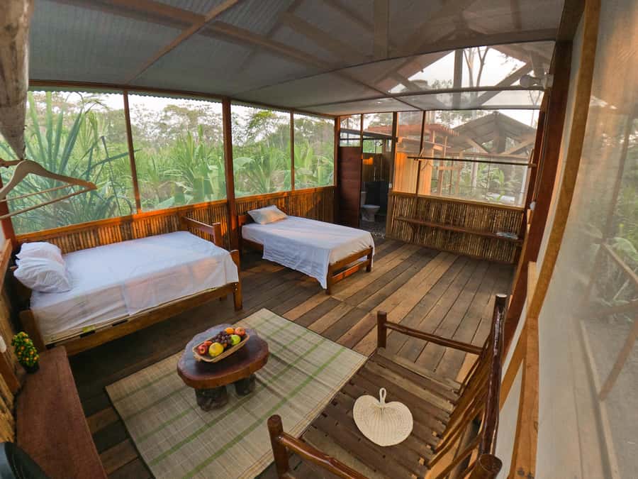 From Puerto Maldonado: 4-Day Excursion /wildlifesearch - Key highlights that make this 4-day plan worth your attention