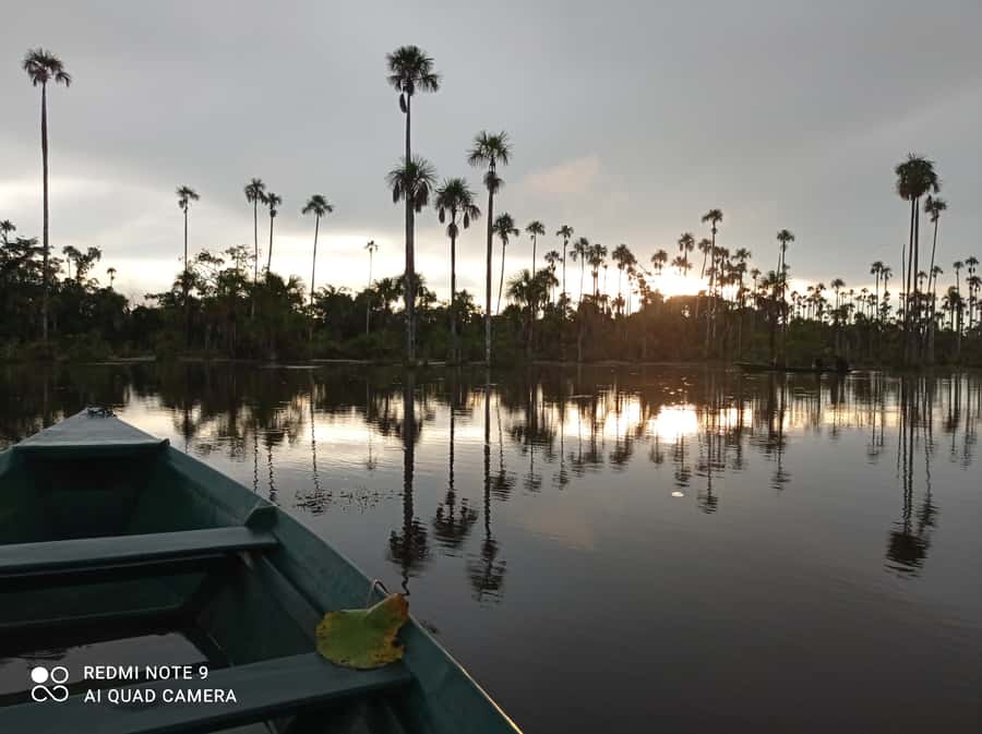 From Puerto Maldonado: 4-Day Excursion /wildlifesearch - Day 1 in Tambopata: riverbank sunset, then a night hike