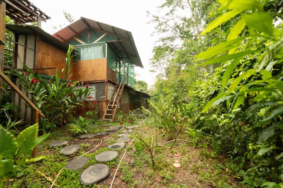 From Puerto Maldonado: 4-Day Excursion /wildlifesearch - Who will enjoy this most (and who should reconsider)
