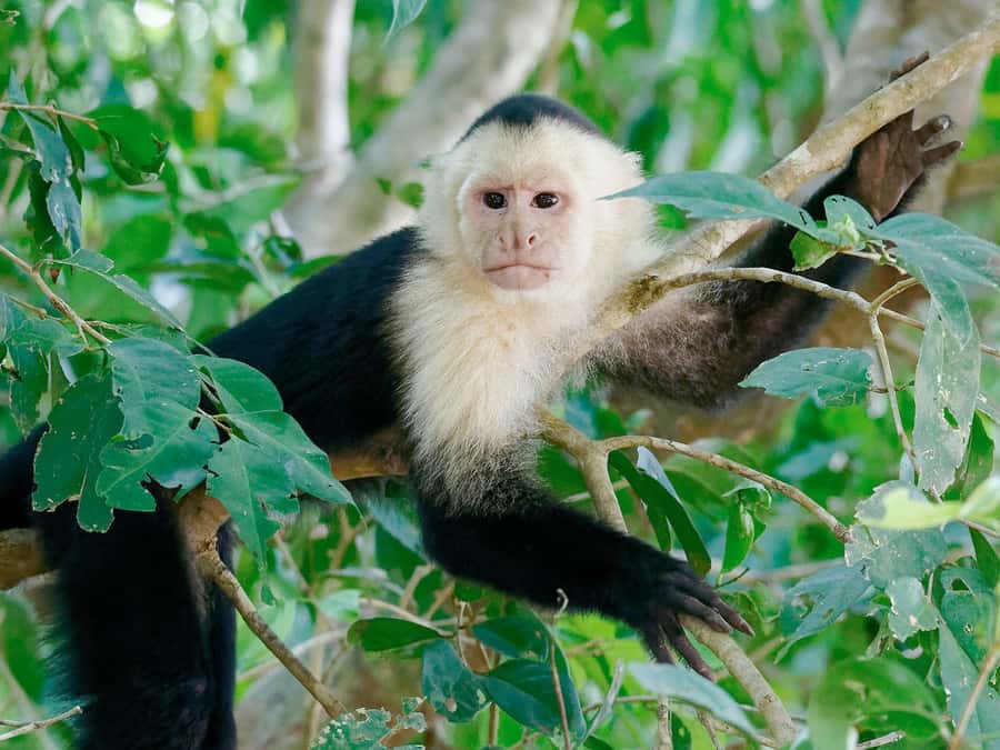 From Puerto Maldonado | Jungle hike + Sandoval Lake | - Key things to know before you go