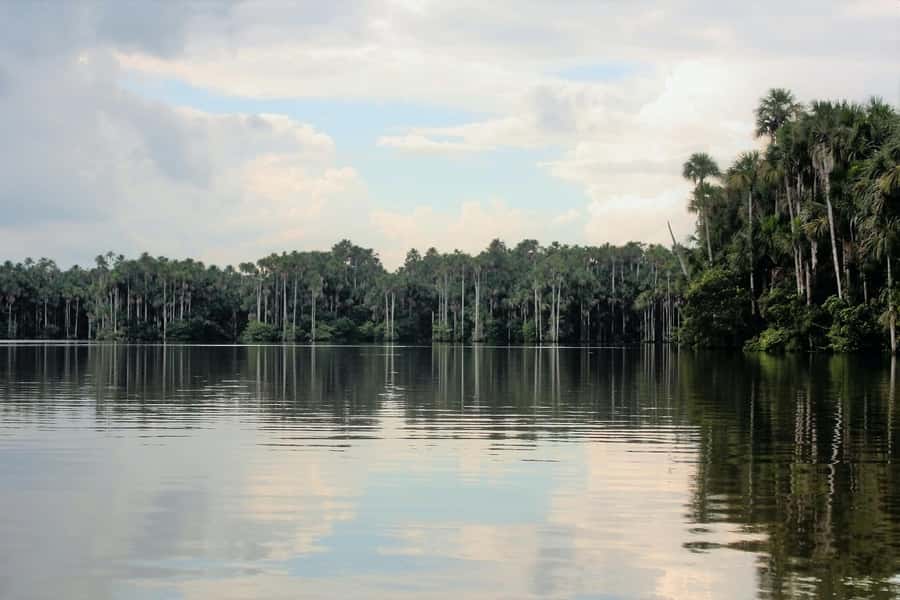 From Puerto Maldonado - Tambopata 4D/3N - Price and what you actually get for about $600