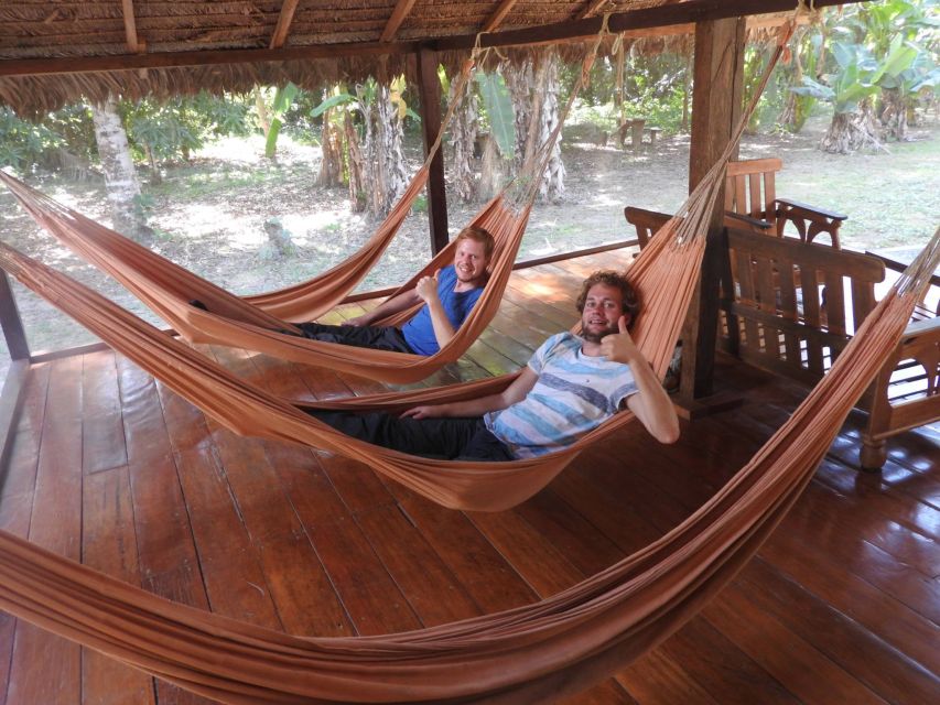 From Puerto Maldonado: Tambopata National Reserve 3-Day Tour - Day 3: Canopy lookouts, suspension bridge walking, and the ride back to Puerto Maldonado