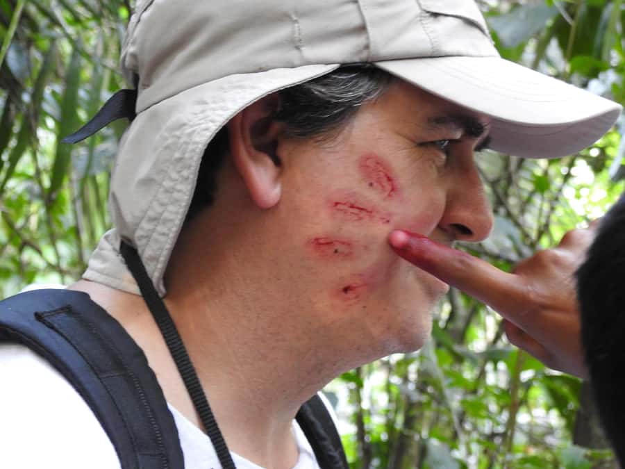 From Puerto Maldonado: Tambopata National Reserve 3-Day Tour - Price and value: is $279 fair for 3 days?