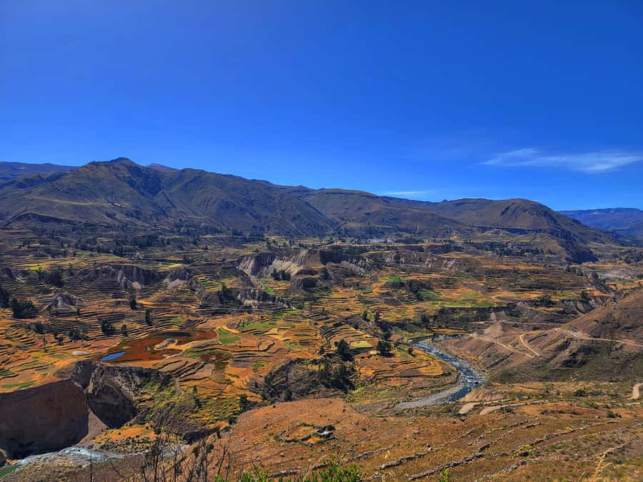 From Puno: 2-Day Tour to Colca Canyon ending in Arequipa - Patapampa (4,900 Meters): The View That Makes the Altitude Worth It