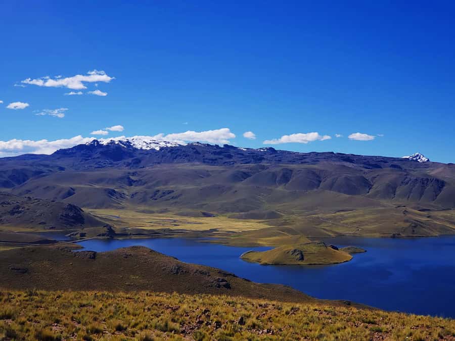 From Puno: 2-Day Tour to Colca Canyon ending in Arequipa - From Colca Canyon Back to Arequipa Around 5:00 p.m.