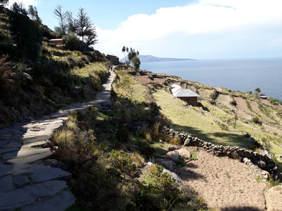 From Puno: full day tour to Uros and Taquile with Lunch - Uros Floating Islands: totora homes, plus a raft ride option