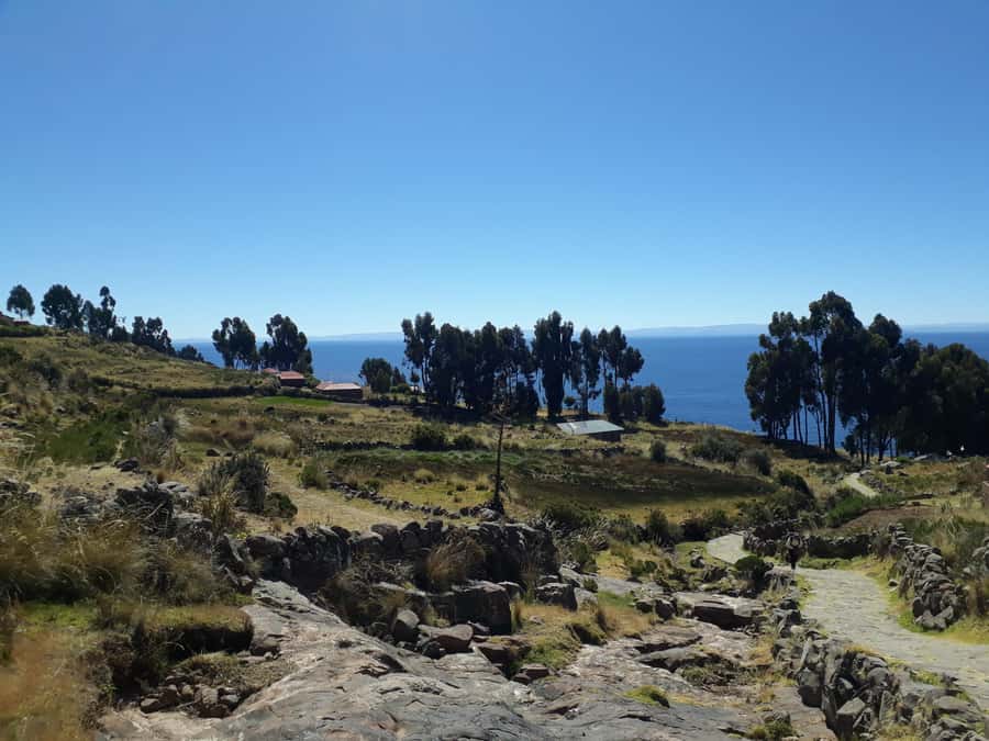 From Puno: full day tour to Uros and Taquile with Lunch - Speedboat transfer: efficient time on the water