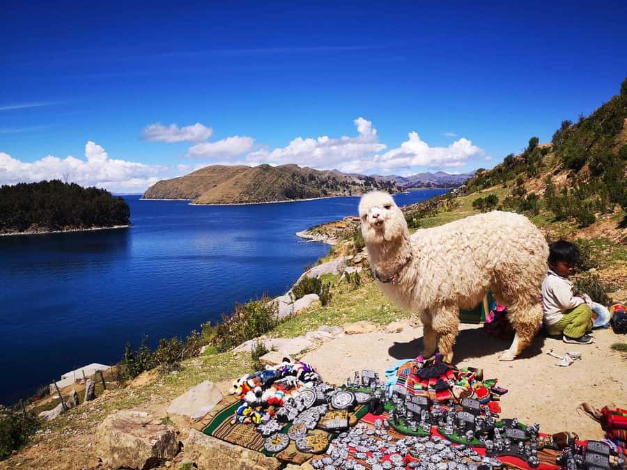 From Puno: Sun Island and Copacabana 1-Day Tour - Motor boat to Isla del Sol: how to use the 1.5-hour ride