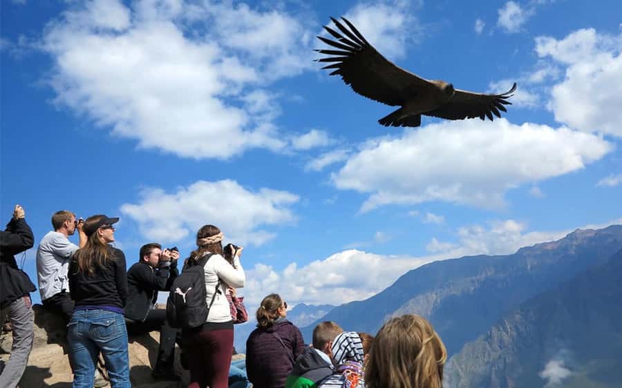 From Puno to Arequipa: 2 Days/1 Night Colca Canyon Tour - Key moments that make this Colca Canyon tour worth your time