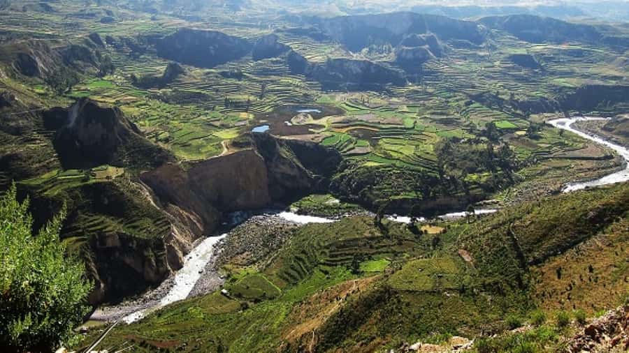From Puno to Arequipa: 2 Days/1 Night Colca Canyon Tour - The route from Puno to Arequipa actually helps you see more