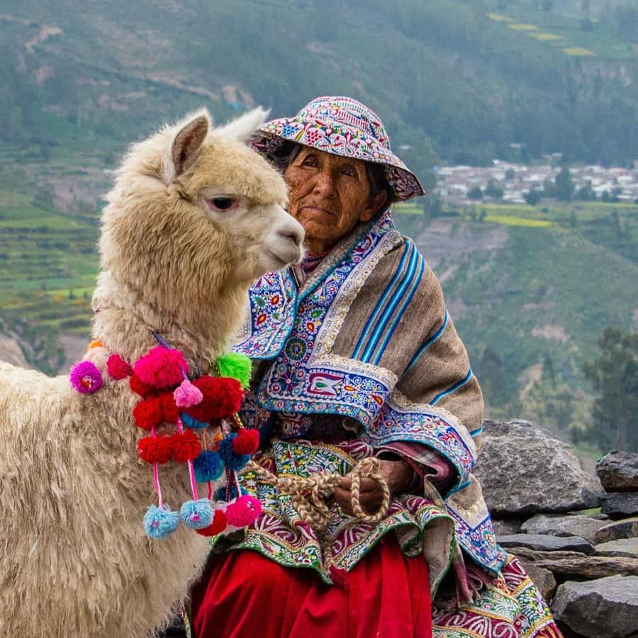 From Puno to Arequipa: 2 Days/1 Night Colca Canyon Tour - The altitude reality check: coca stop and what to pack