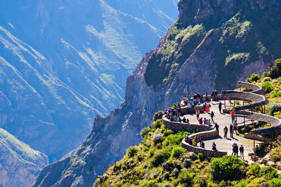 From Puno to Arequipa: 2 Days/1 Night Colca Canyon Tour - Day 1: Puno to Chivay with Lagunillas, Pampa Cañahuas, and Patapampa