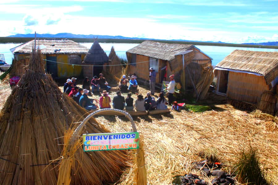 From Puno: Uros floating islands half Day tour - From Puno to the Reed Islands: pickup, transfer, and boat ride