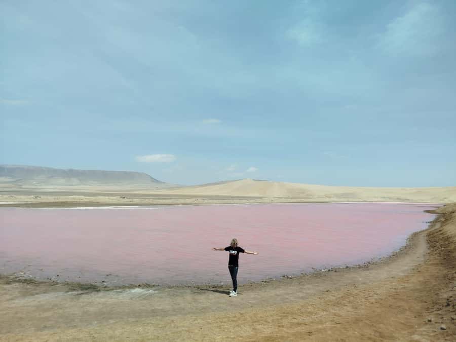 From San Martin Port: Ballestas Island & Paracas Reserve - Key points to know before you go