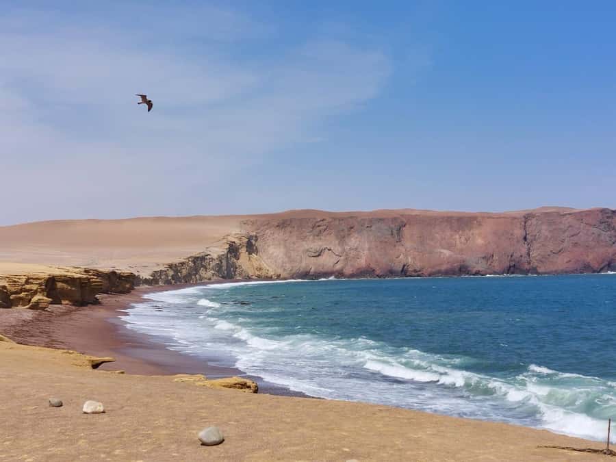 From San Martin Port: Ballestas Island & Paracas Reserve - From Puerto San Martín to El Chaco: the transfer that sets the tone