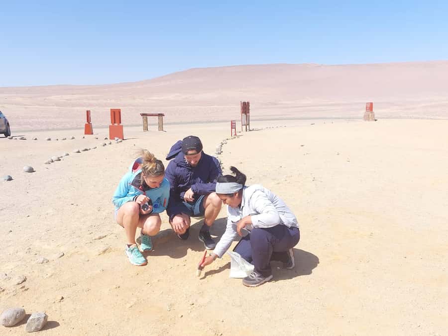 From San Martin Port: Ballestas Island & Paracas Reserve - Who this tour suits best, and who should skip it