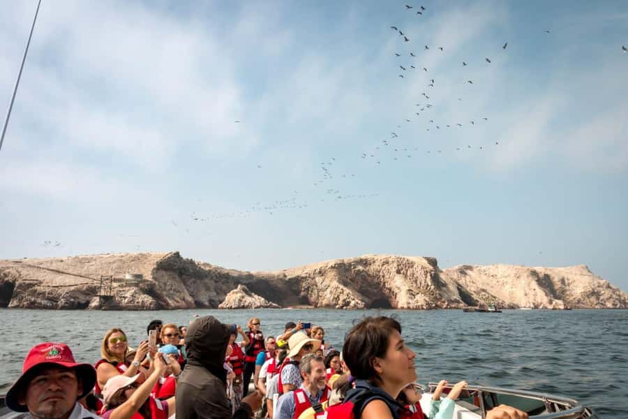 From San Martin Port: Ballestas Island & Paracas Reserve - Ballestas Islands speedboat cruise: Candelabro and the wildlife run