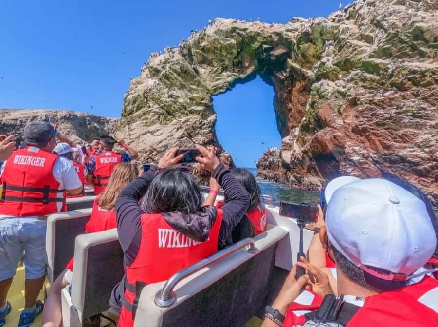 From San Martin Port: Ballestas Islands Tour in Paracas - The guano story: why birds matter beyond the selfies