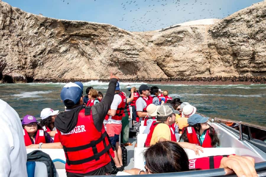 From San Martin Port: Ballestas Islands Tour in Paracas - What to bring (and what to wear) for a smoother boat day