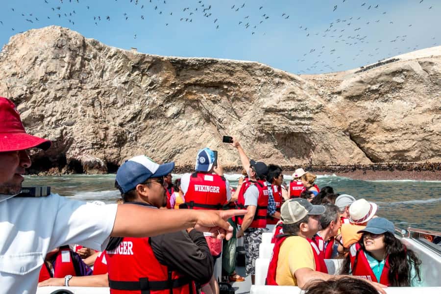 From San Martin Port: Ballestas Islands Tour in Paracas - Who should skip this tour, and who will love it most