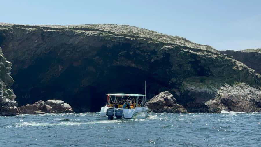 From San Martin Port: Ballestas Islands Tour in Paracas - The speedboat ride: quick, a little wet, and very real
